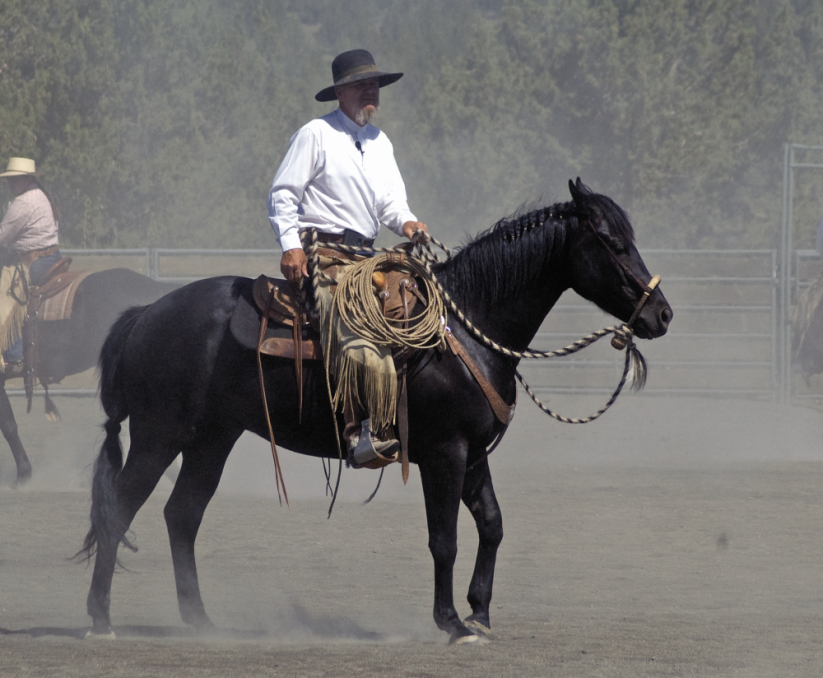 DVD – Tradiční vaquero vybavení